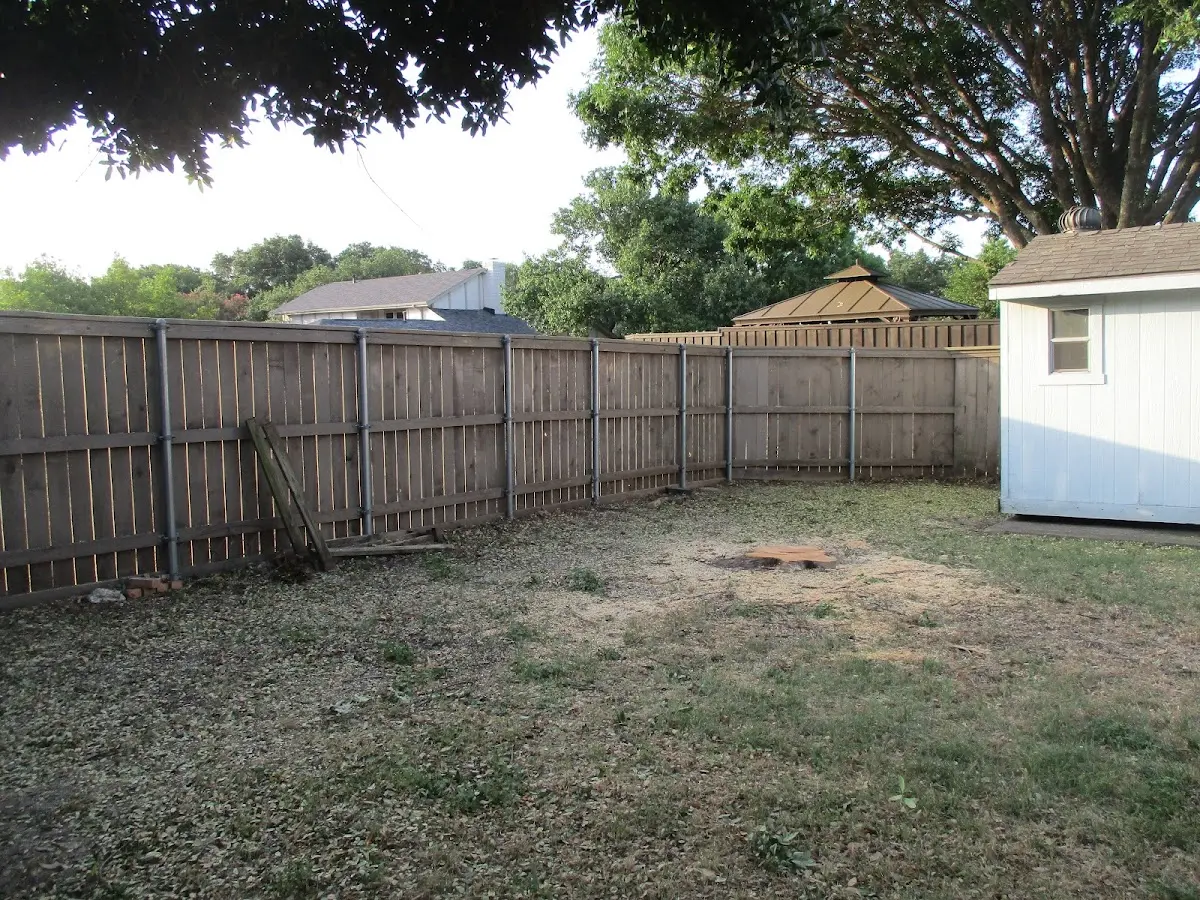 Cleared yard after professional tree removal in Weirton